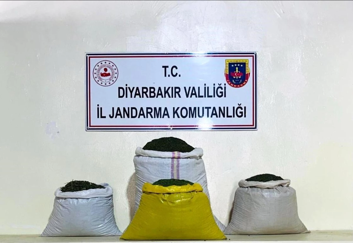 Diyarbakır’da büyük uyuşturucu operasyonu: 170 bin 500 kök kenevir bitkisi ve 52 kilogram toz esrar ele geçirildi